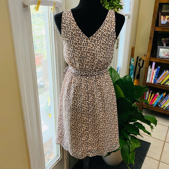 a new day Dresses & Skirts - A New Day Women’s Leopard Print Dress XS